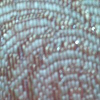 اللمبي (@ywwc4jezcfksttt) 's Twitter Profile