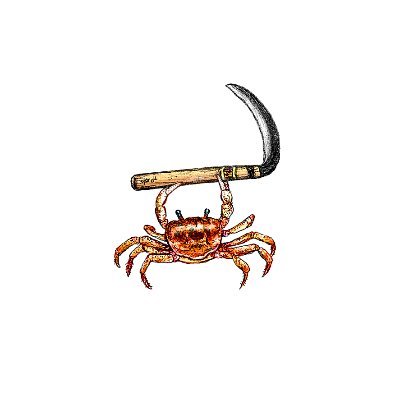 ojoconejo's profile picture. 🐯🇨🇴
Me gustan unas cosas, otras no. 
No más Petro | Malpensante