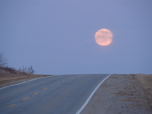 MichelleS33n's profile picture. Nature🦋science🪐⚙️Photography🌎🌦hiking🥾☀️☕️👹😇Life in the country🌻