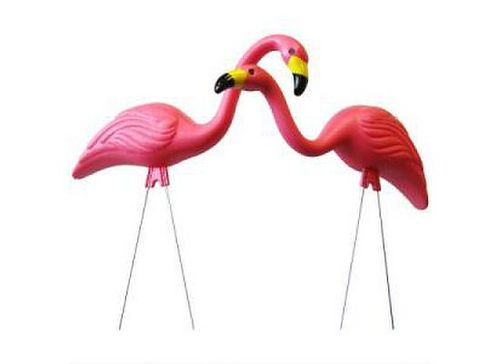 ShitCCRsays's profile picture. 