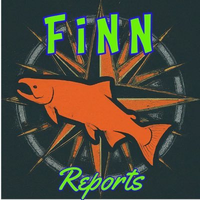 FiNNreports Profile Picture