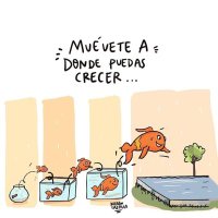 david (@davidbryaa) 's Twitter Profile