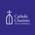 Catholic Charities Diocese of Madison (@CCMadison) Twitter profile photo