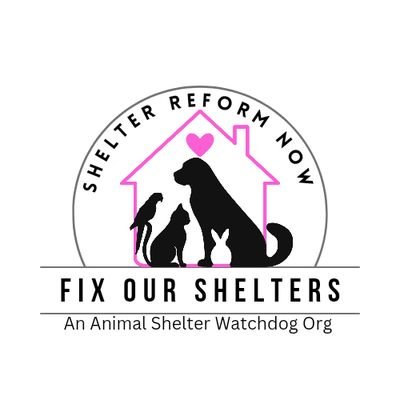 501 (c) 3 Animal Advocacy Organization, with a focus on Animal Shelter Reform