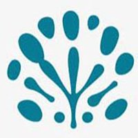 Pollen Initiative (@pollen2024) 's Twitter Profile