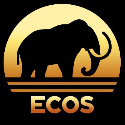 ecos_roblox Profile Picture