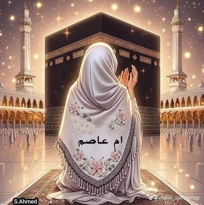 omasm217's profile picture. 🌼وهو على كل شئ قدير🌼