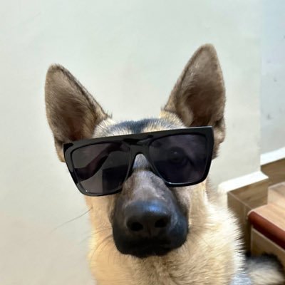 Design minded developer. All about mobile. Currently developing for Android. I know about startups too.
https://t.co/nUz4bcCA7z