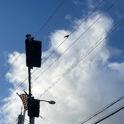 한국어 日本語 ok/ ⚡️🐑 EN 위주/ 성인