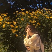 ً rest. (@qalacxy) 's Twitter Profile