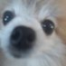 Wendel (@wendel157850) Twitter profile photo Wendel (@wendel157850) Twitter profile photo