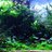 jun69214126's profile image