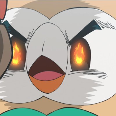 mokmokrowlet Profile Picture