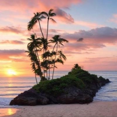 say3344520's profile picture. 