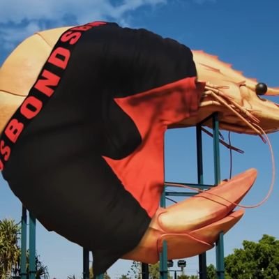 HalfAcreAdv's profile picture. 