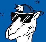 Righteous_Tees's profile picture. The most righteous tees this side of the Mississippi