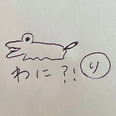 wani_z9's profile picture. せせらぎ小町/Me-rise/なんでも撮る屋さん📷