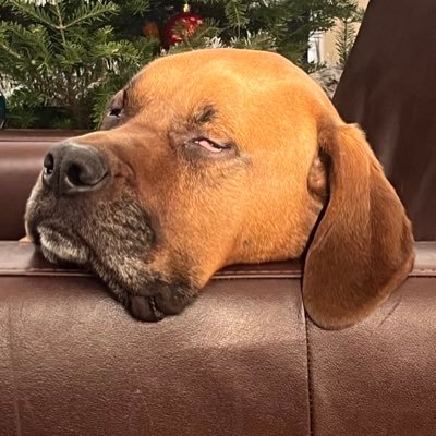 Siborg79's profile picture. Dad jokes connoisseur, rocking out to tunes and reeling in big laughs. Bacon enthusiast by day, dad dance champ by night - https://t.co/GIX5msUtZi