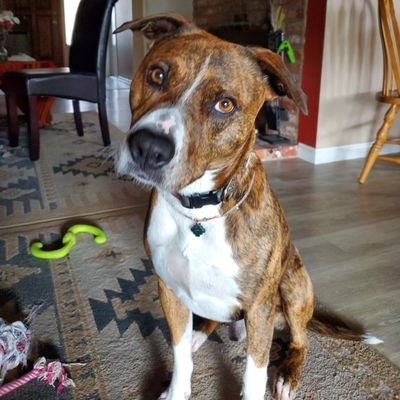 Heartlight43852's profile picture. 