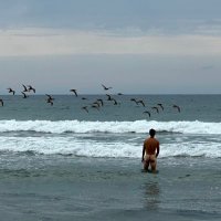 Vince (@selfassembleatl) 's Twitter Profile