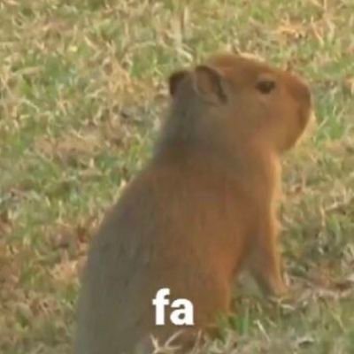 Fa_______69's profile picture. 