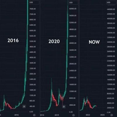 wngb182924's profile picture. 复旦大学，17年玩币归赵 币圈普通人 普通人目标：2030年持有5个BTC保持三十年。 普通人币圈法则：1.普通人抄不了底 2.普通人逃不了顶