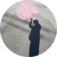 nyl🌏n := 超化学繊維 (@nylon_pa66) 's Twitter Profile Photo