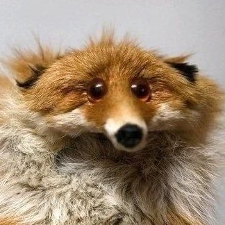 FishyInTheSeas's profile picture. 