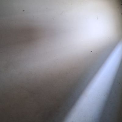 udin_1299's profile picture. 