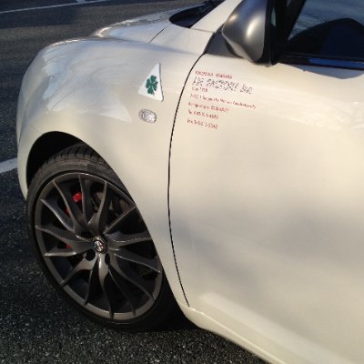 yokohama_teddy's profile picture. 