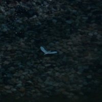 LMMN (@lmmn41) 's Twitter Profile