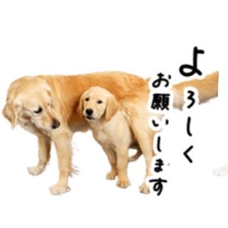 まりこなちゃん(サワードウベーグル屋始めました🥯)さんのプロフィール画像