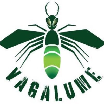 Conta Vagalume