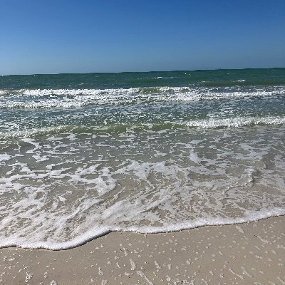 hahadogecoin's profile picture. Half 69