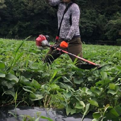 arasanshuno34's profile picture. 社内SEから22年10月農業法人に転職。
24年5月よりこの農業法人の契約農家として独立！認定新規農業者🚜
契約栽培以外に畑を確保！ニンニク作りたい🧄