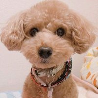 yu.i＠婚活アカ (@yu_i08252580) Twitter profile photo