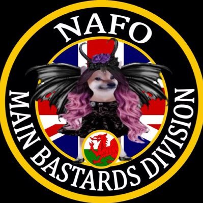 🇺🇸#NavyVet🇬🇧🏴󠁧󠁢󠁷󠁬󠁳󠁿🇮🇱Indie CIA Bot❤️#nafo #nafofella Sukhoi pronouns shot/down; UK/US Main&Honorary bastard=dad’s fault😝; @justajane.bsky.social