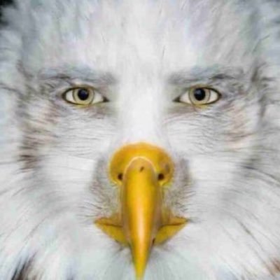 weed_face01's profile picture. Welcome to my estate, make yourself at home. I retweet approximately 40 tweets a day, all of it of a sexually deviant nature. What’s my goon is yours, friend.