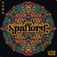 Spafford(@SpaffordMusic) 's Twitter Profileg