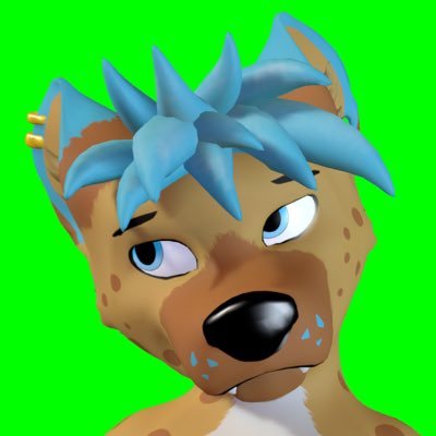 BirkieYeenさんのプロフィール画像