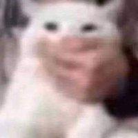 Lin¤ 🔥 (@lino_br123) 's Twitter Profile