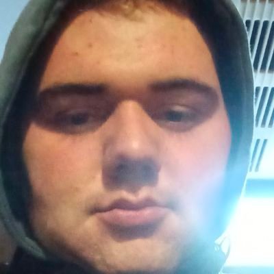 Noel29122000's profile picture. 