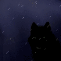 I was once part of a pack but I was kicked out for killing the domanint male.I am owned by @SaiyanBrandon