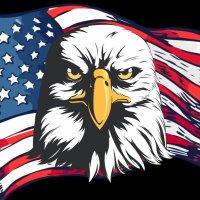 Bald Eagle Patriot 🦅(@BaldEaglePat) 's Twitter Profile Photo