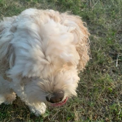 Ethan181997's profile picture. 