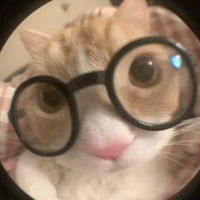 sde_soul's profile picture. Posts radom de mi día a día