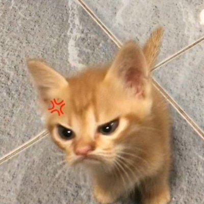 Vascoyy182689's profile picture. Airdrop hunter $GGX