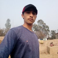 | ZAP Chain🐉$MON '🐞🫧🫧🫧 ONMi.io ZEEK$CLONE (@aliabbas7513) 's Twitter Profile