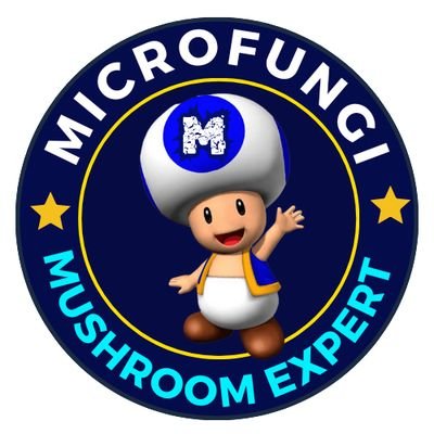 MUSHROOM TRAINING, SPAWN, BUY-BACK, EXPORTER, CONSULTANT, FARM DESIGNER, MUSHROOM EXPERT, PRODUCTS, ALL TYPES OF MUSHROOMS CULTIVATIONS SUPPORT UNDER 1 ROOF...