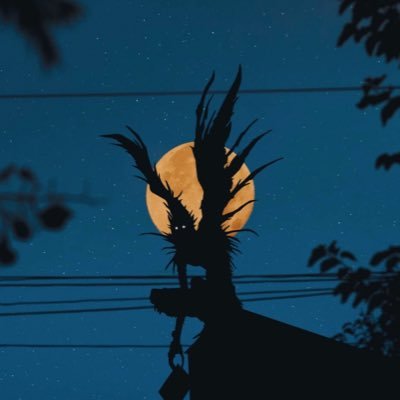 rabbiifahim's profile picture. 